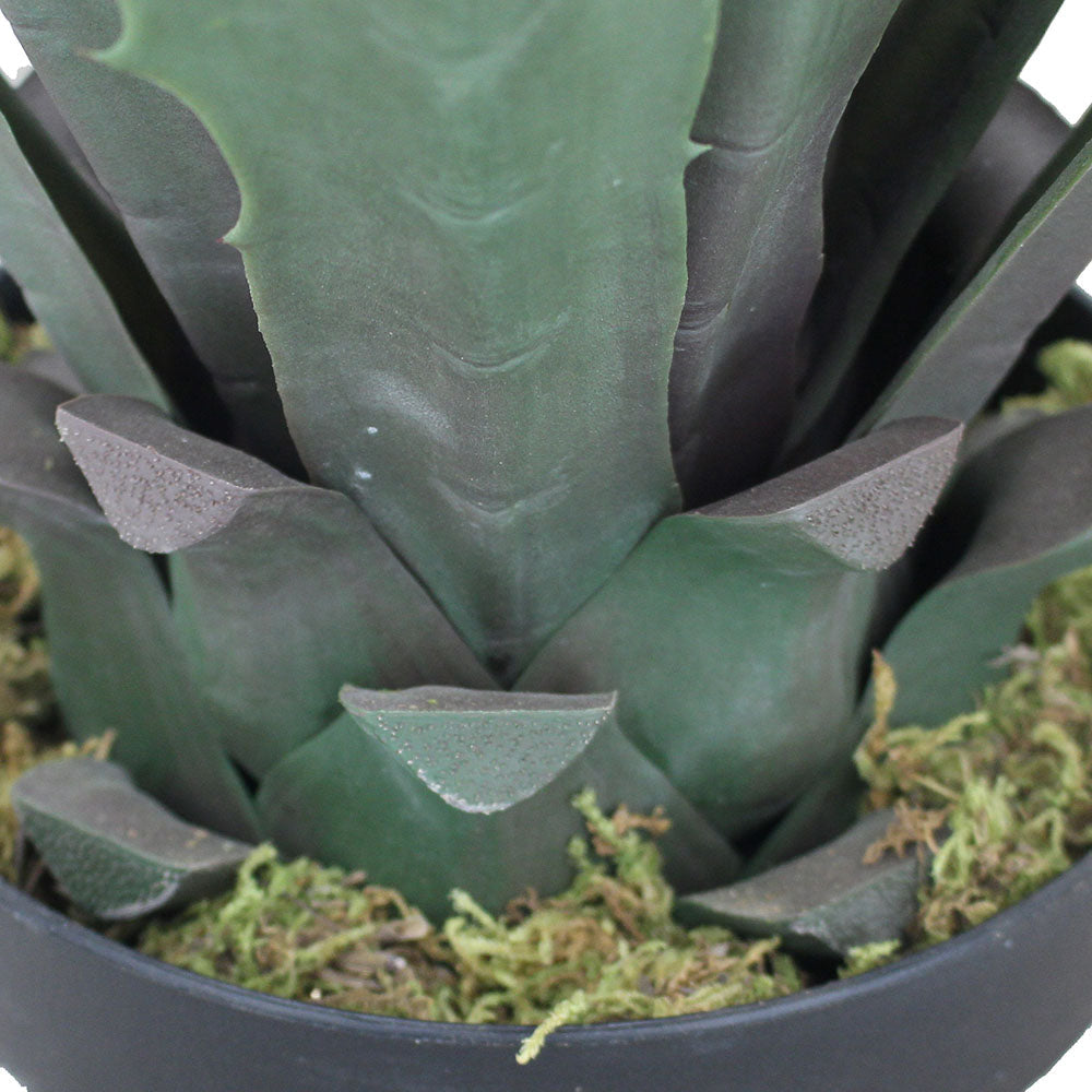 Tunja Artificial Century Potted Plant (Multiple Sizes)