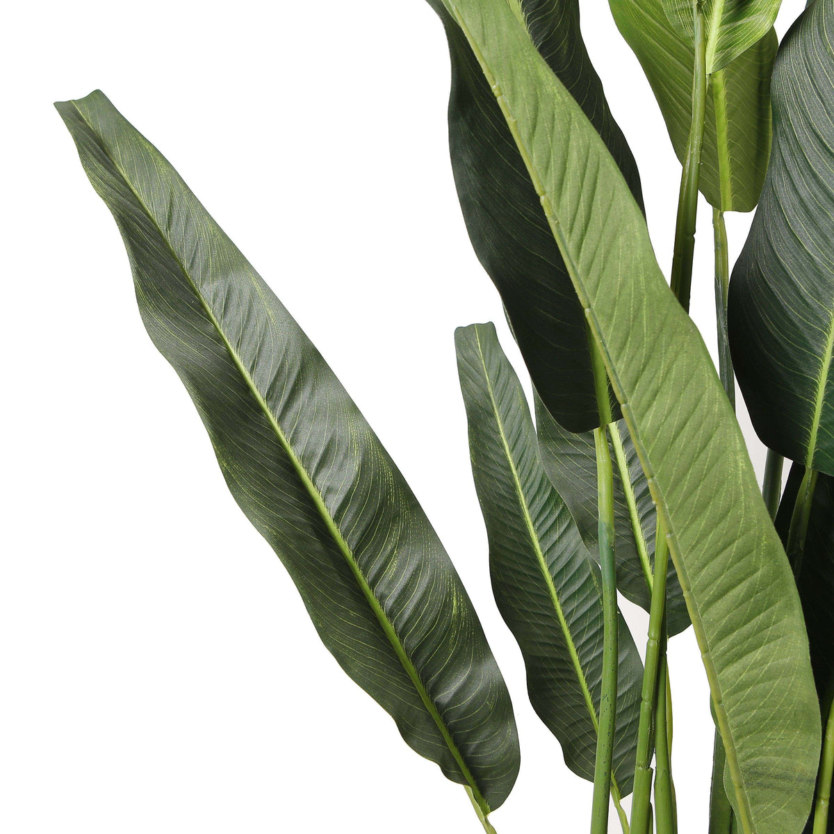 Kola Artificial Travellers Palm Tree Potted Plant (Multiple Sizes)