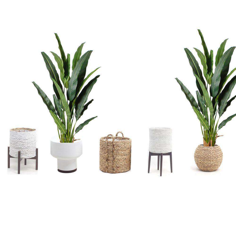 Kola Artificial Travellers Palm Tree Potted Plant (Multiple Sizes)