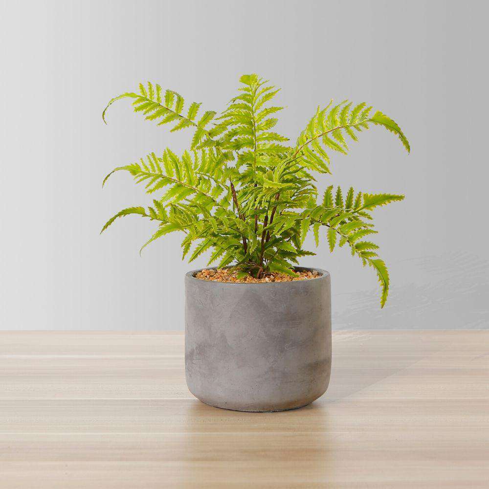 Kuta Potted Faux Fern