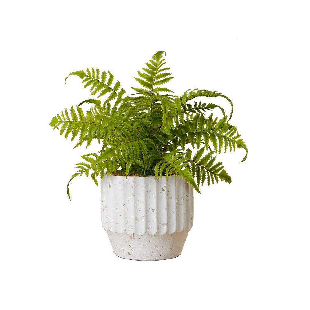 Kuwu Potted Faux Fern