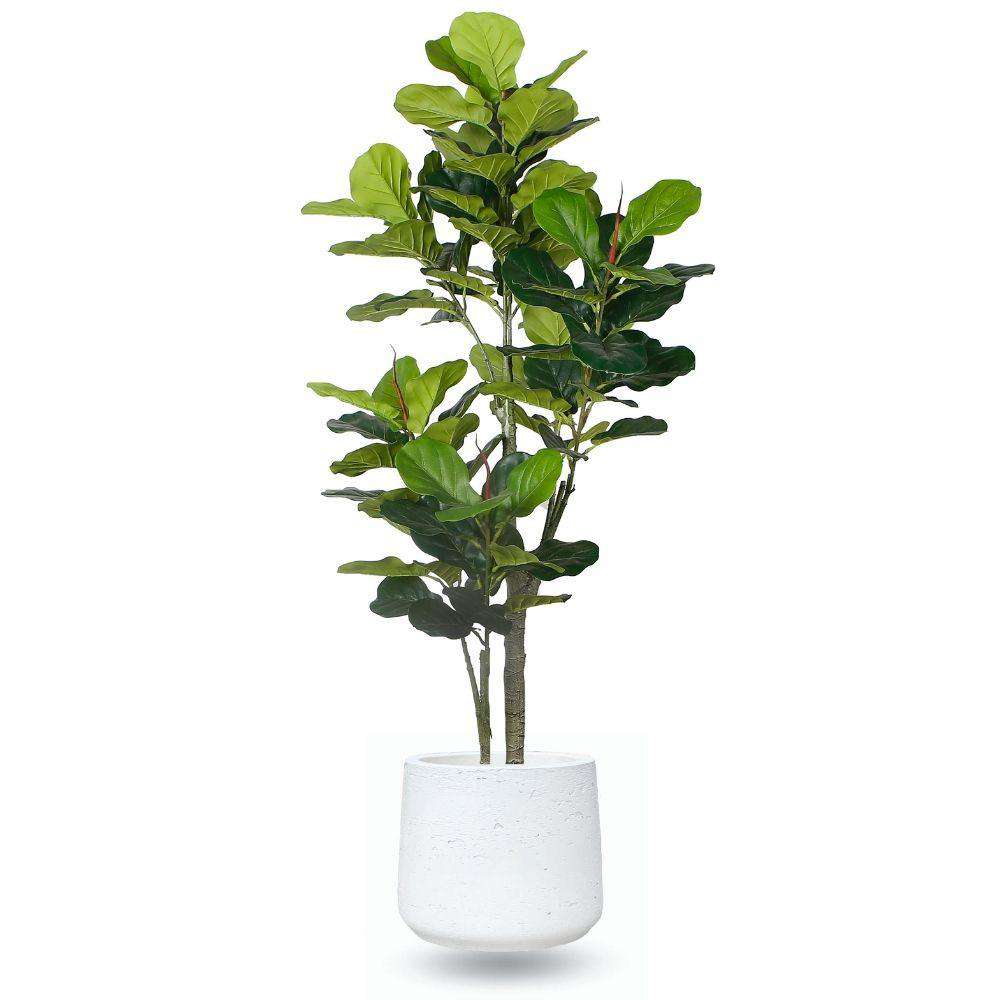 Lazaro White Cement Planter 13''