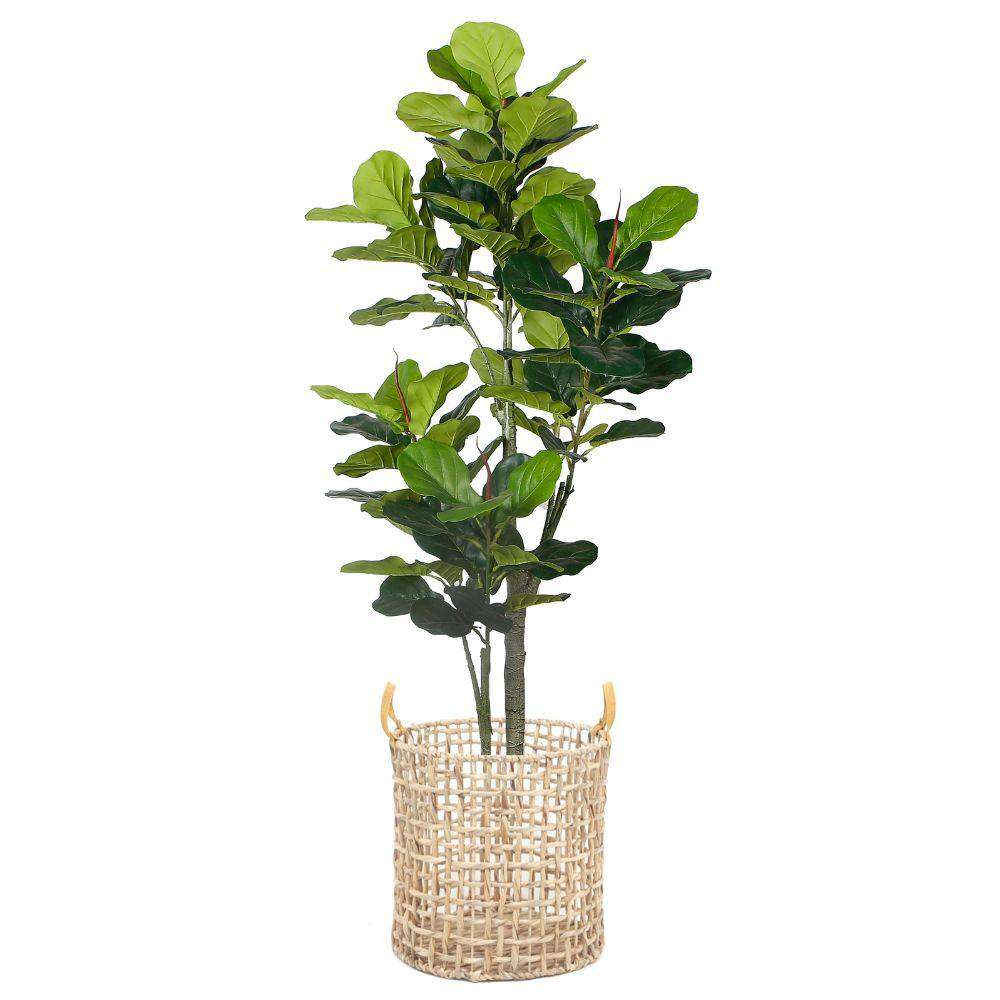 Lupe Water Hyacinth Planter