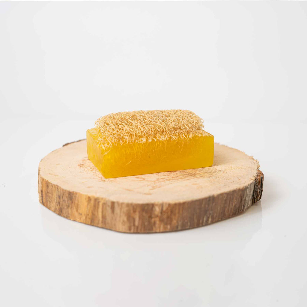 Loofah Soap: Orange