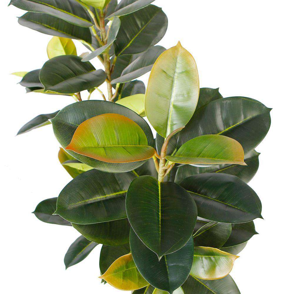 Nero Artificial Rubber Potted Plant 5'