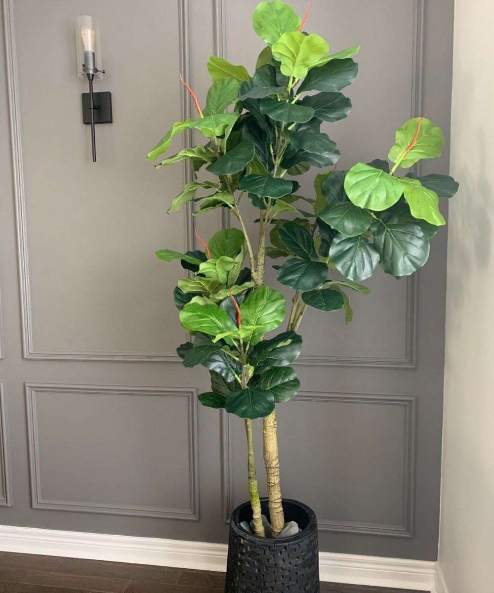 Nora Artificial Fiddle Leaf Potted Plant (Multiple Sizes)