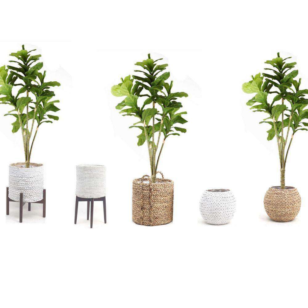 Piña Artificial Fiddle Leaf Potted Plant 5'