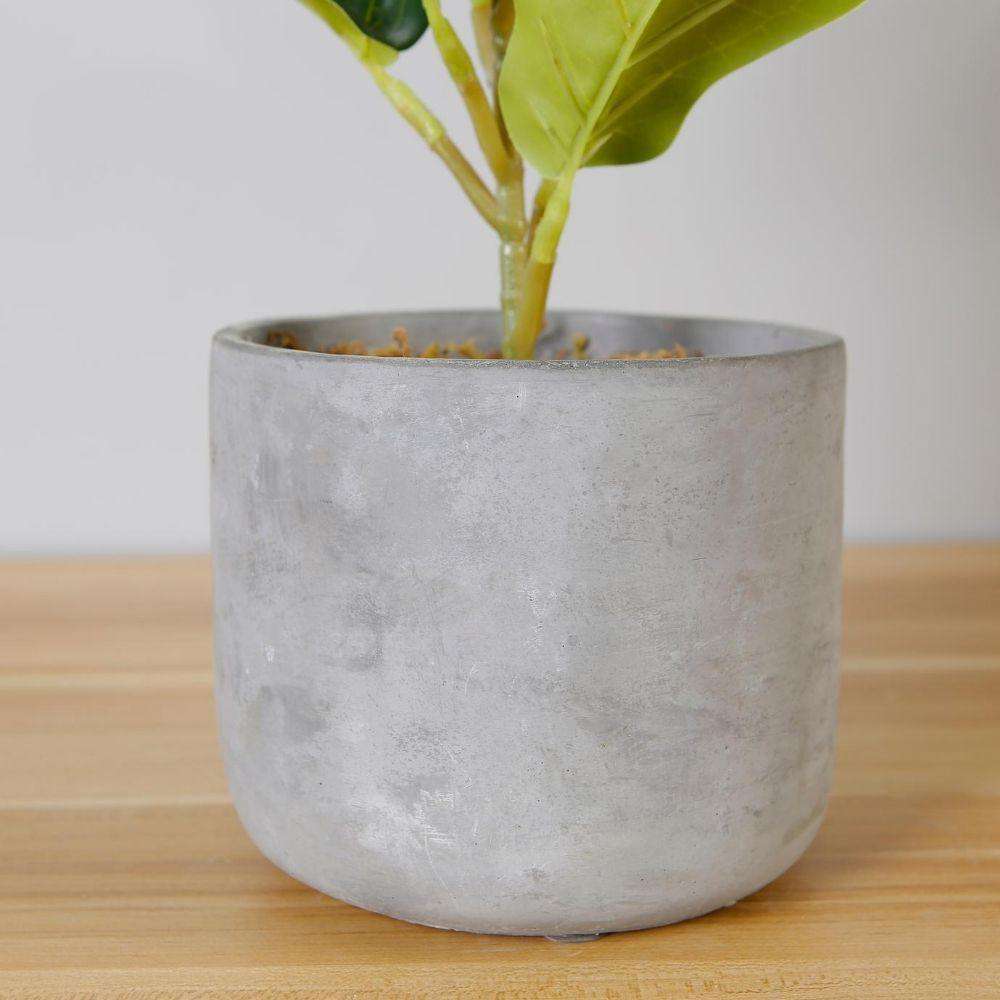 Panuco Potted Faux Fiddle Plant