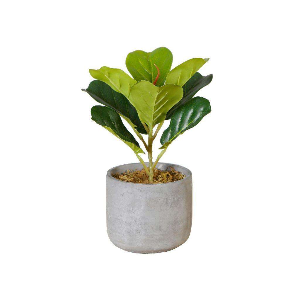 Panuco Potted Faux Fiddle Plant