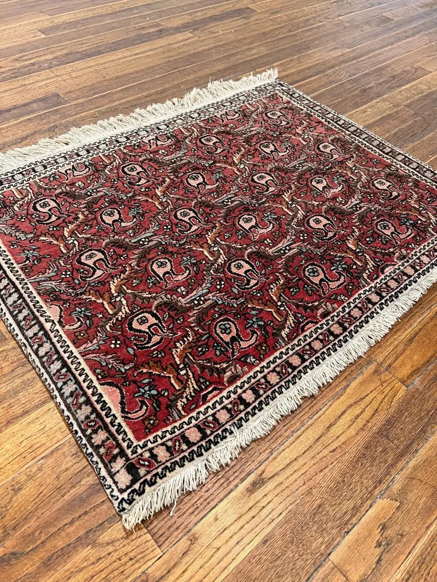 Persian Bijar Rug | 2' 2" x 2' 11"