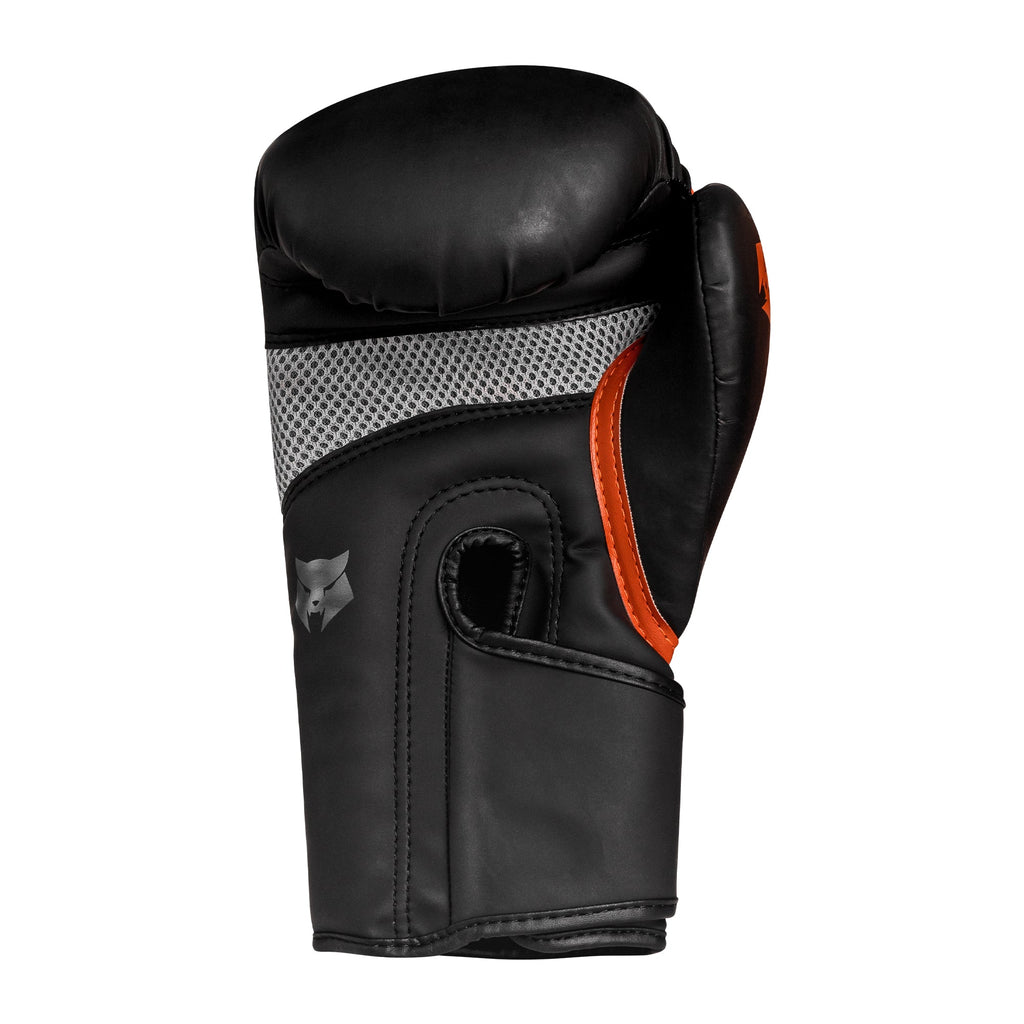 Gants de boxe Edge Pro