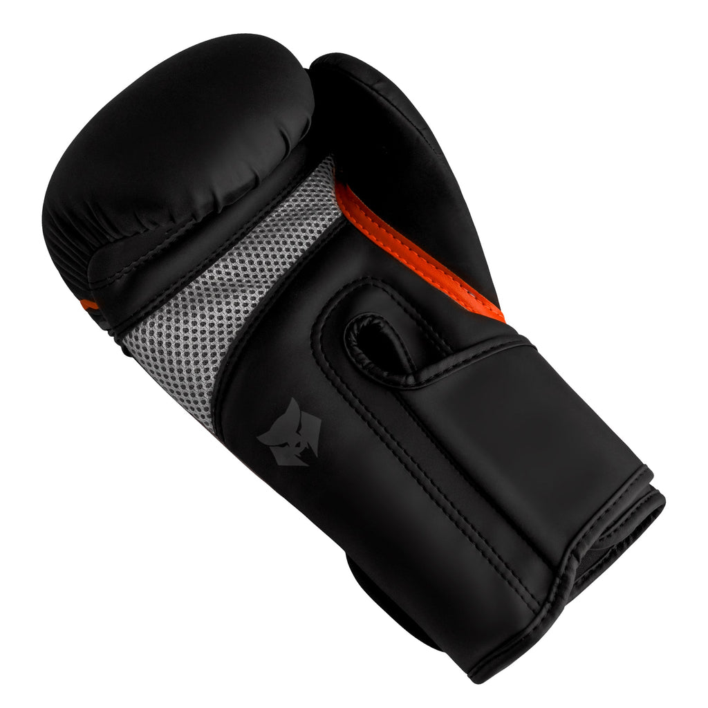 Gants de boxe Edge Pro
