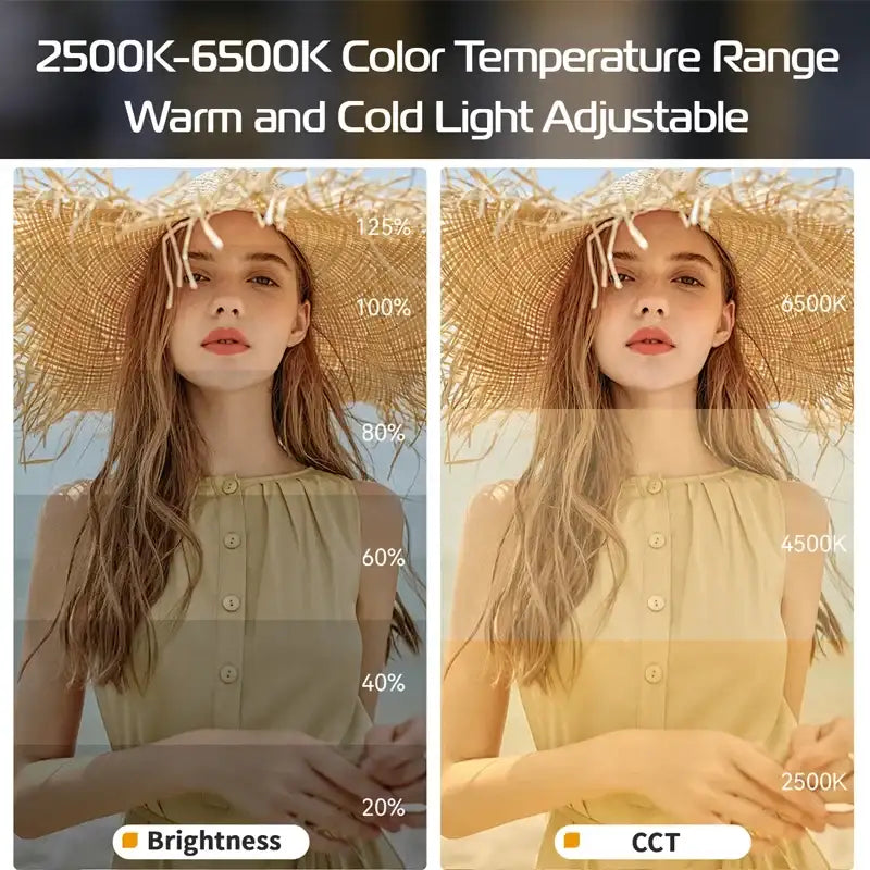 Ulanzi L023 40W Pro tragbare zweifarbige COB-LED-Videoleuchte für Fotostudio, 2500K-6500K, 3400mAh, für Video-Livestreaming