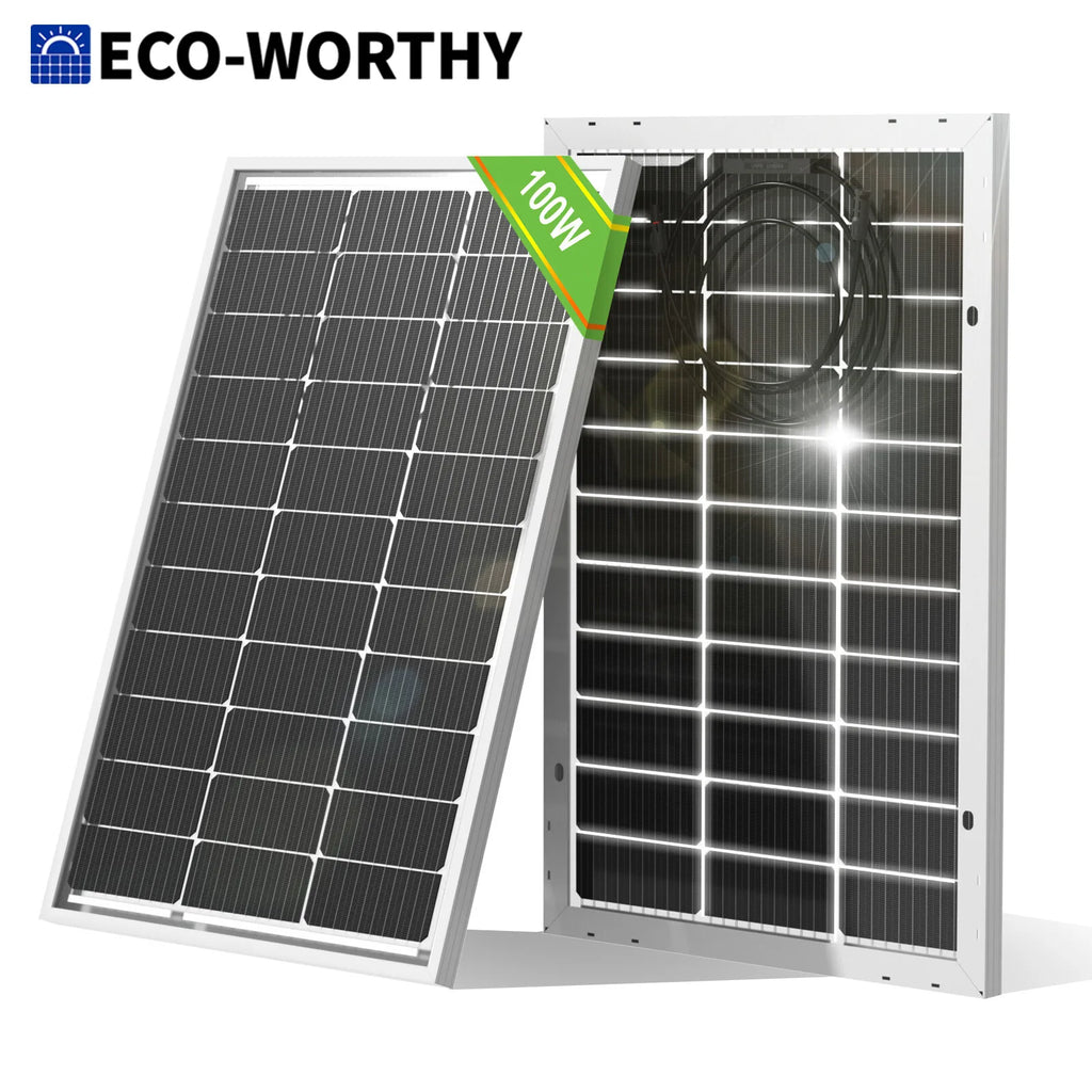 Panel solar bifacial ECO-WORTHY de 100 W y 12 V – Monocristalino