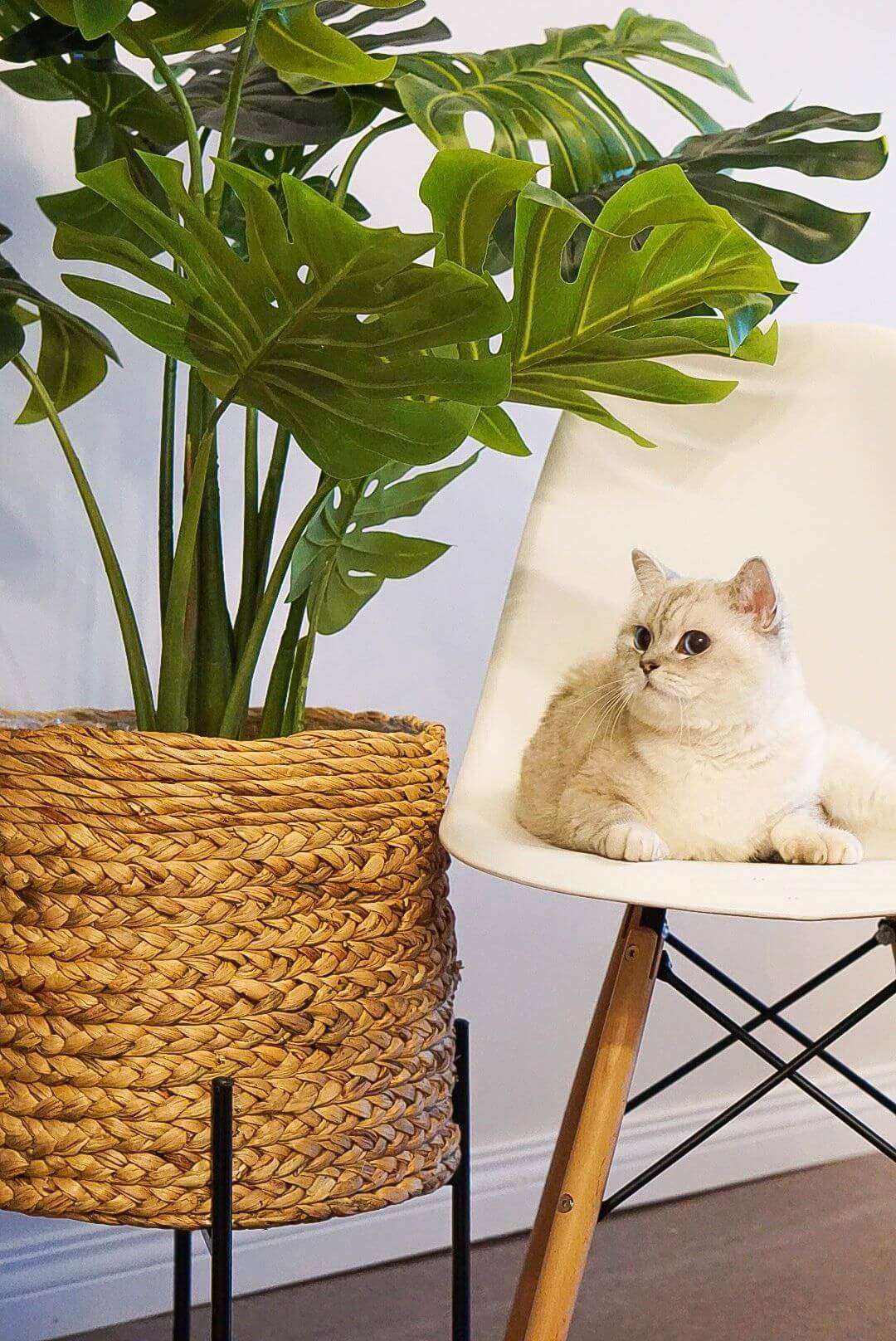 Tera Monstera Artificial Potted Plant