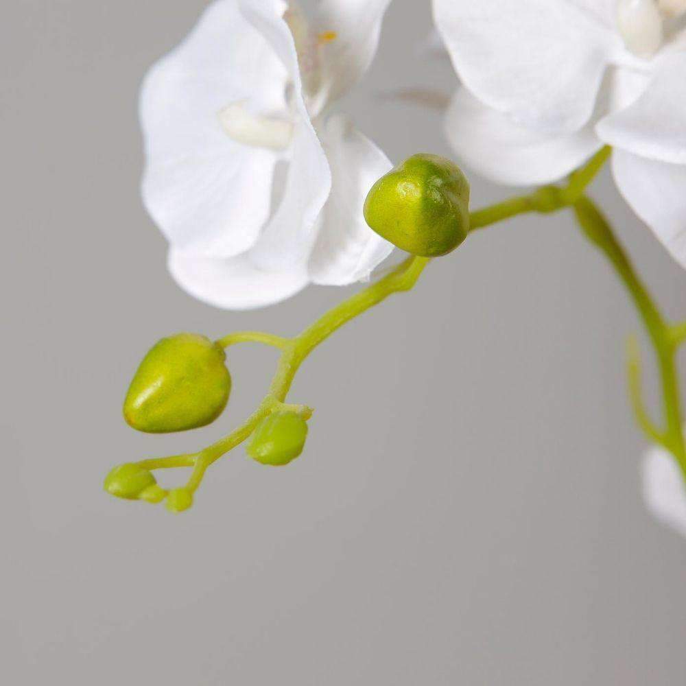 Tampico Faux Potted Orchid Floral Arrangement 24 Inches