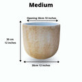 Trevi Cement Planter (Multiple Sizes)