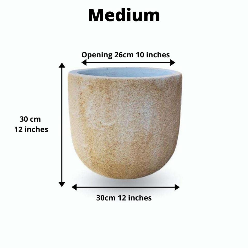 Trevi Cement Planter (Multiple Sizes)