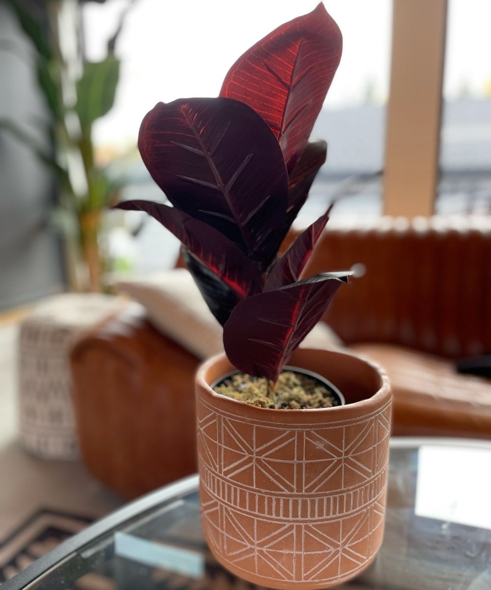 Mongui Artificial Rubber Potted Plant 1.2'