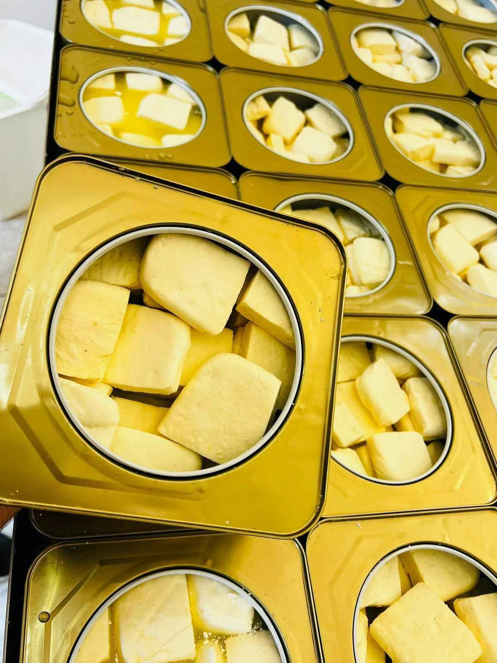 Asliah Palestinian Nabulsi Cheese – Sheep Milk Cheese in Brine - 2.76 lb (1.25 kg)