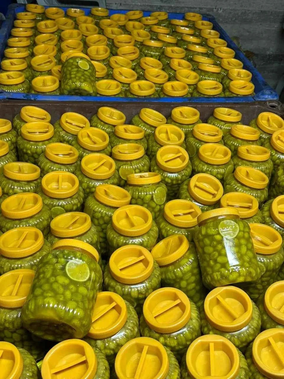 Tulkarm Palestinian Green Olives – Cracked in Brine 1.2kg