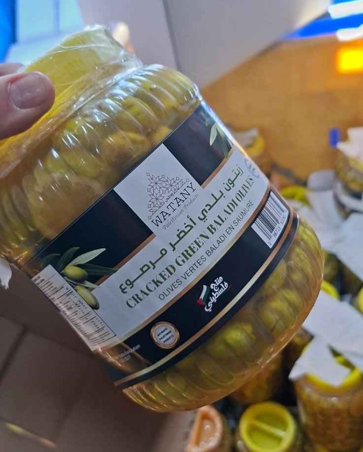 Tulkarm Palestinian Green Olives – Cracked in Brine 1.2kg