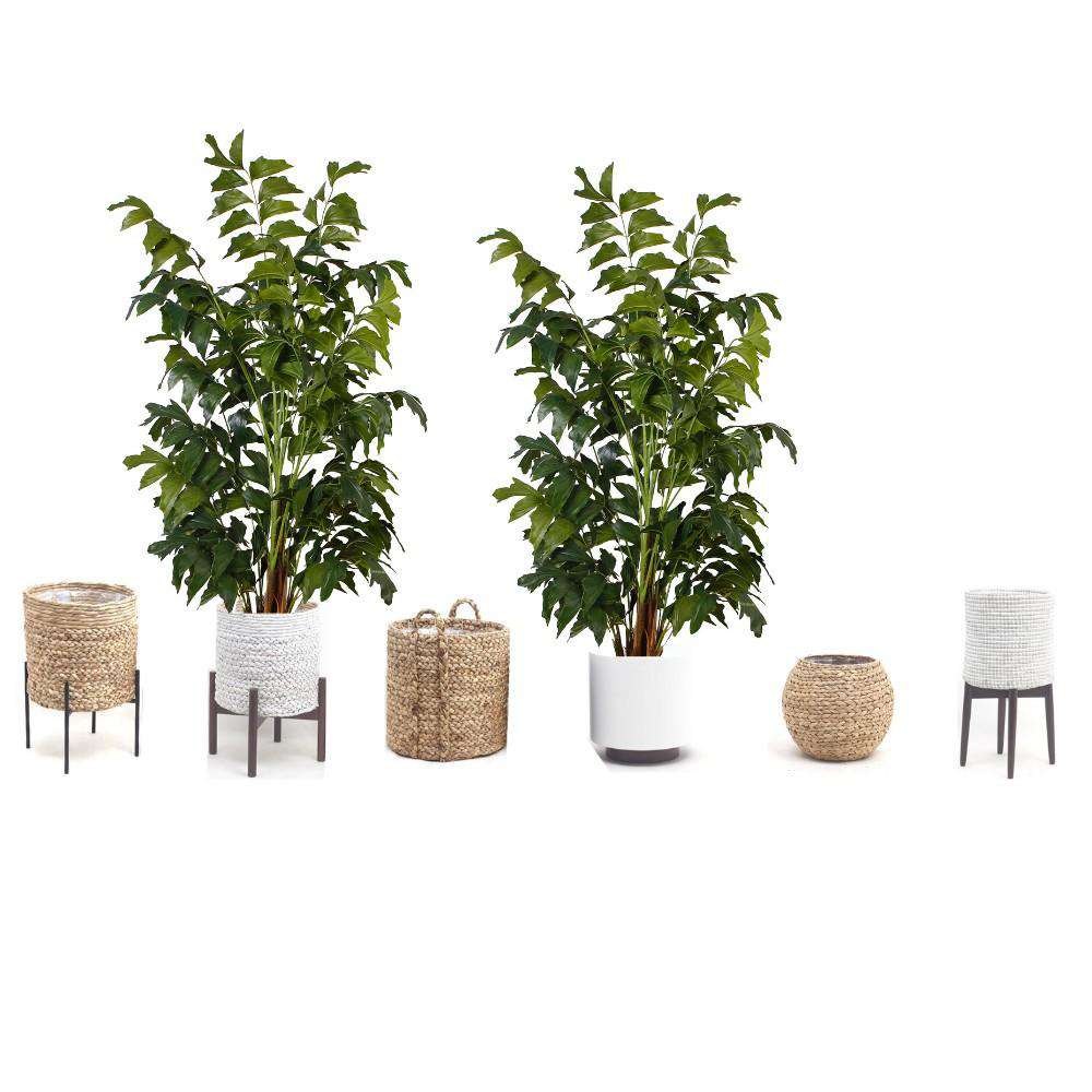 Xavi Artificial Fishtail Palm Tree Potted Plant (Multiple Sizes)