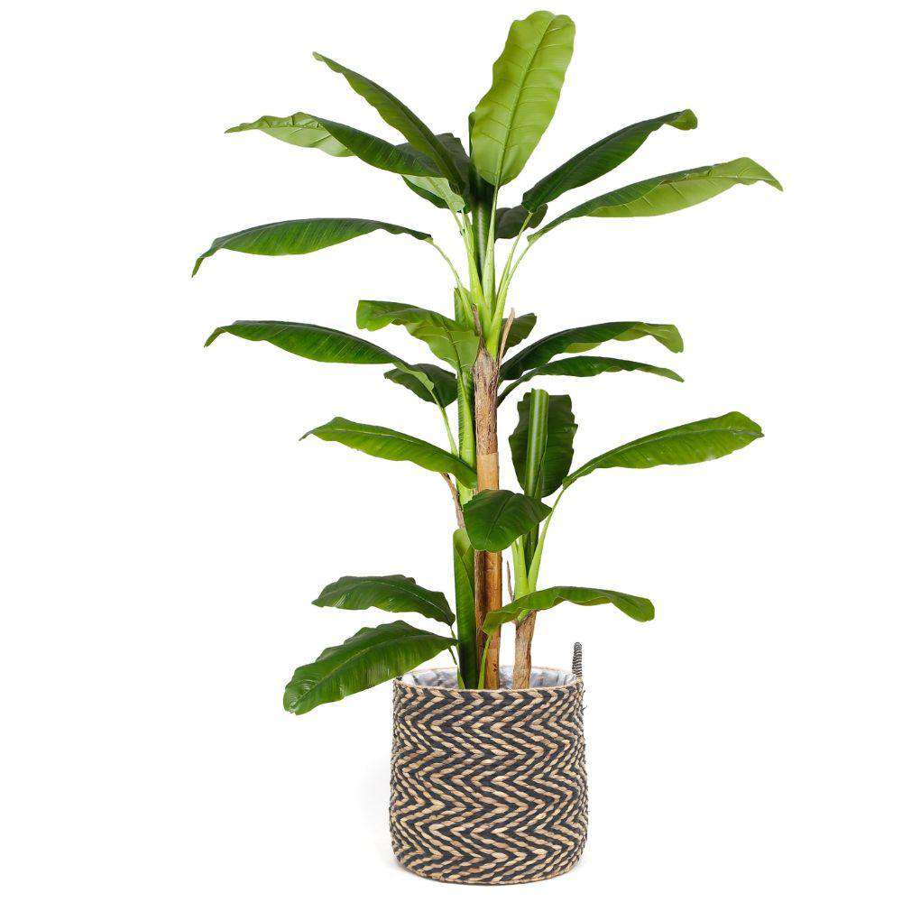 Ximena Water Hyacinth Planter