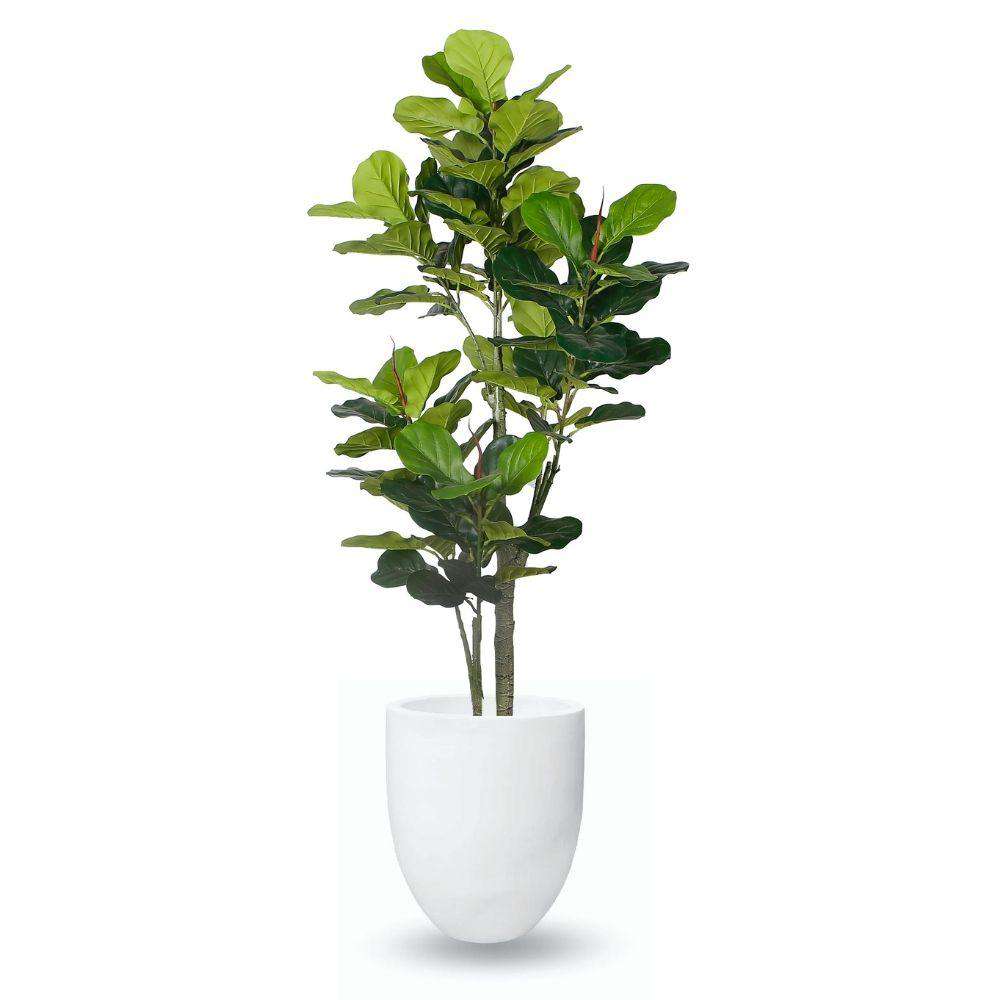 Yelapa Cement Planter (Multiple Sizes)