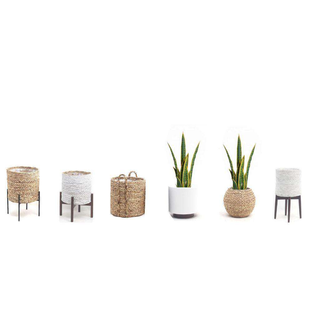 Zora Artificial Snake Sansevieria Yellow And Green Potted Plant 30''