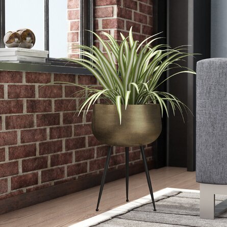 Sara - Brass Planter With Black Legs