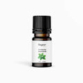 Eucalyptus Essential Oil – Regro by Rayhana (10 ML)