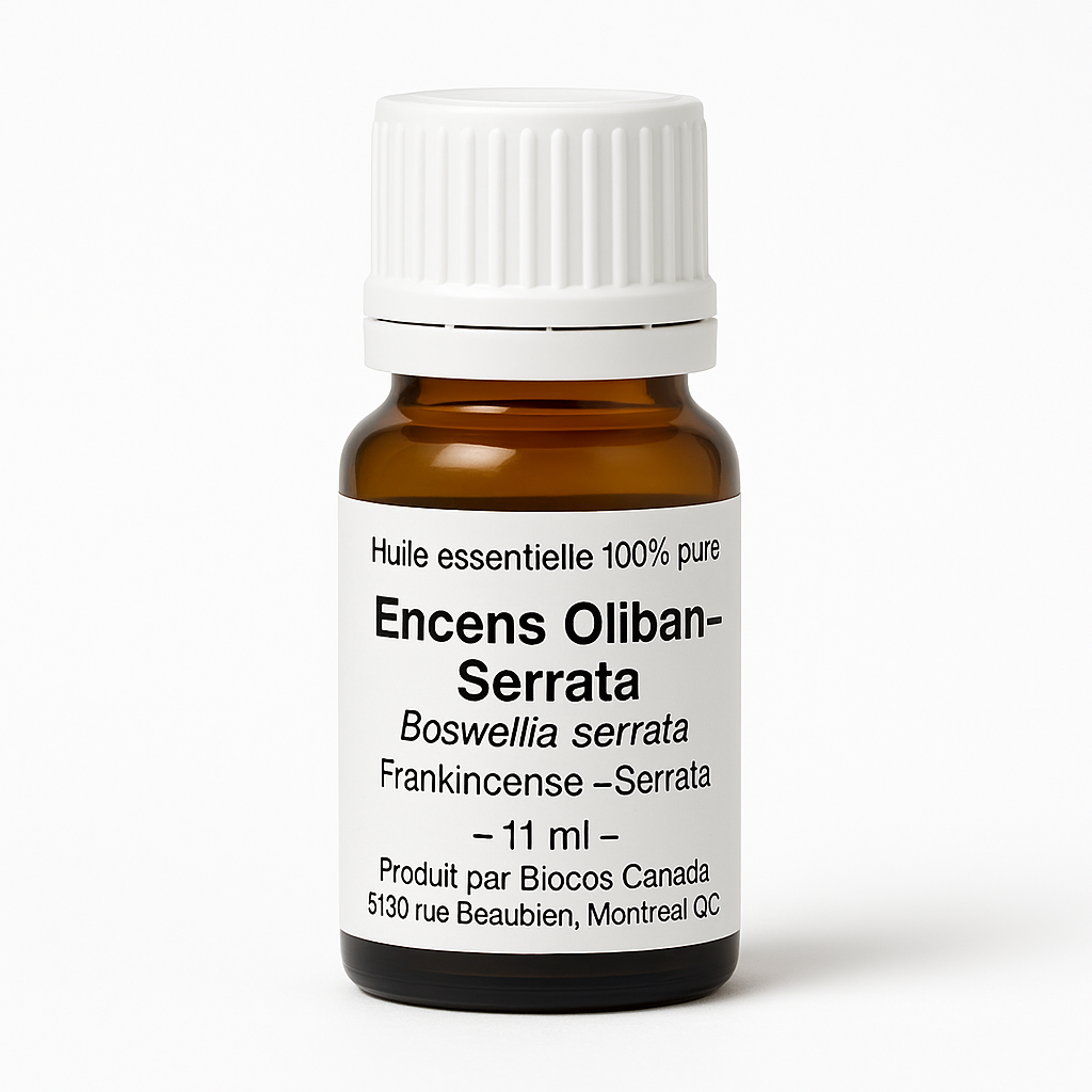 Weihrauch (Frankincense)