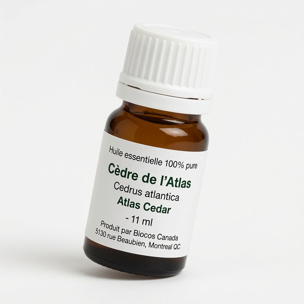Cedro del Atlas