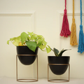 Ovate Black Planters (Pack of 2) Bronze Hermes