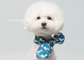 Goose Foam-Scarf Emerald Alfie