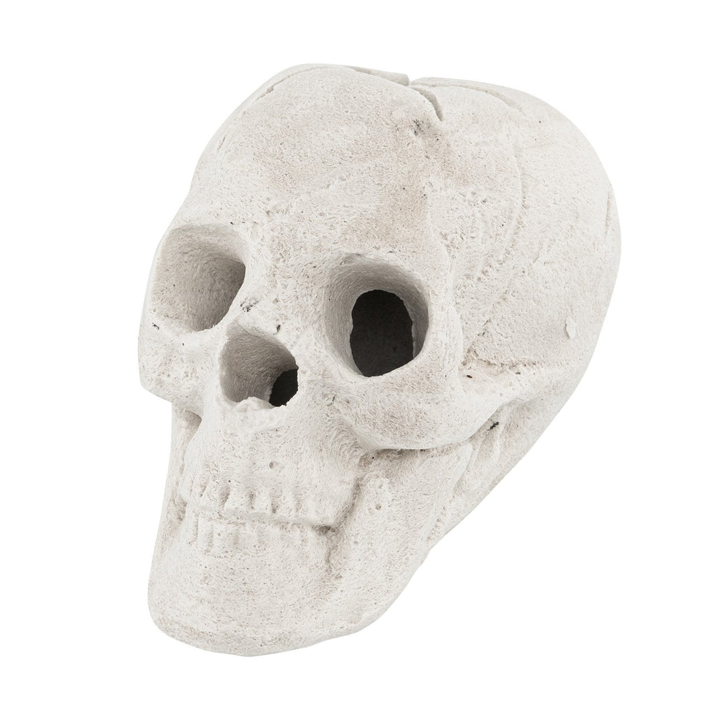 Hoguera de Halloween con calavera, decoración de Halloween, color beige