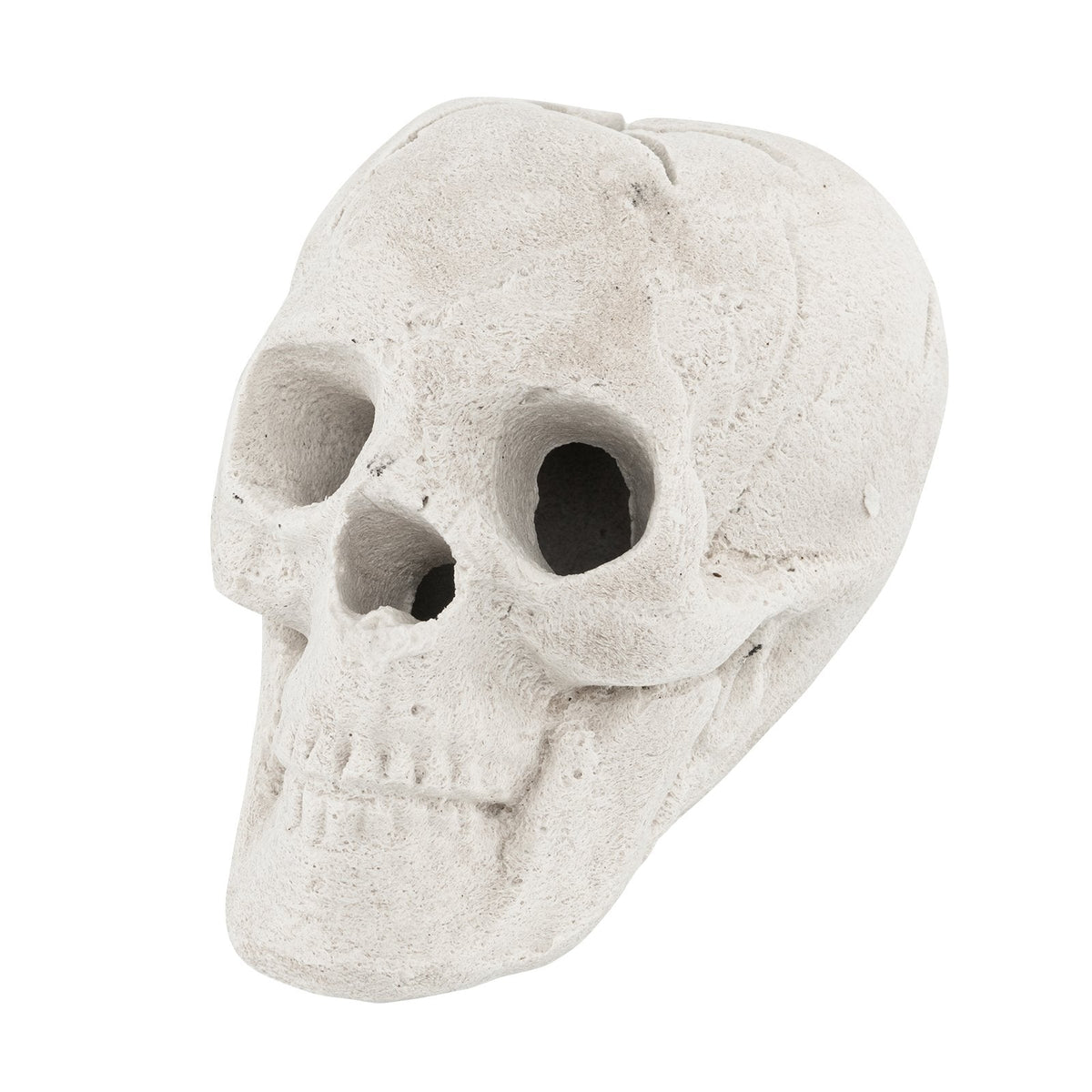 Hoguera de Halloween con calavera, decoración de Halloween, color beige