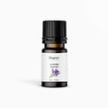 Lavender Essential Oil – Regro by Rayhana 10 ML