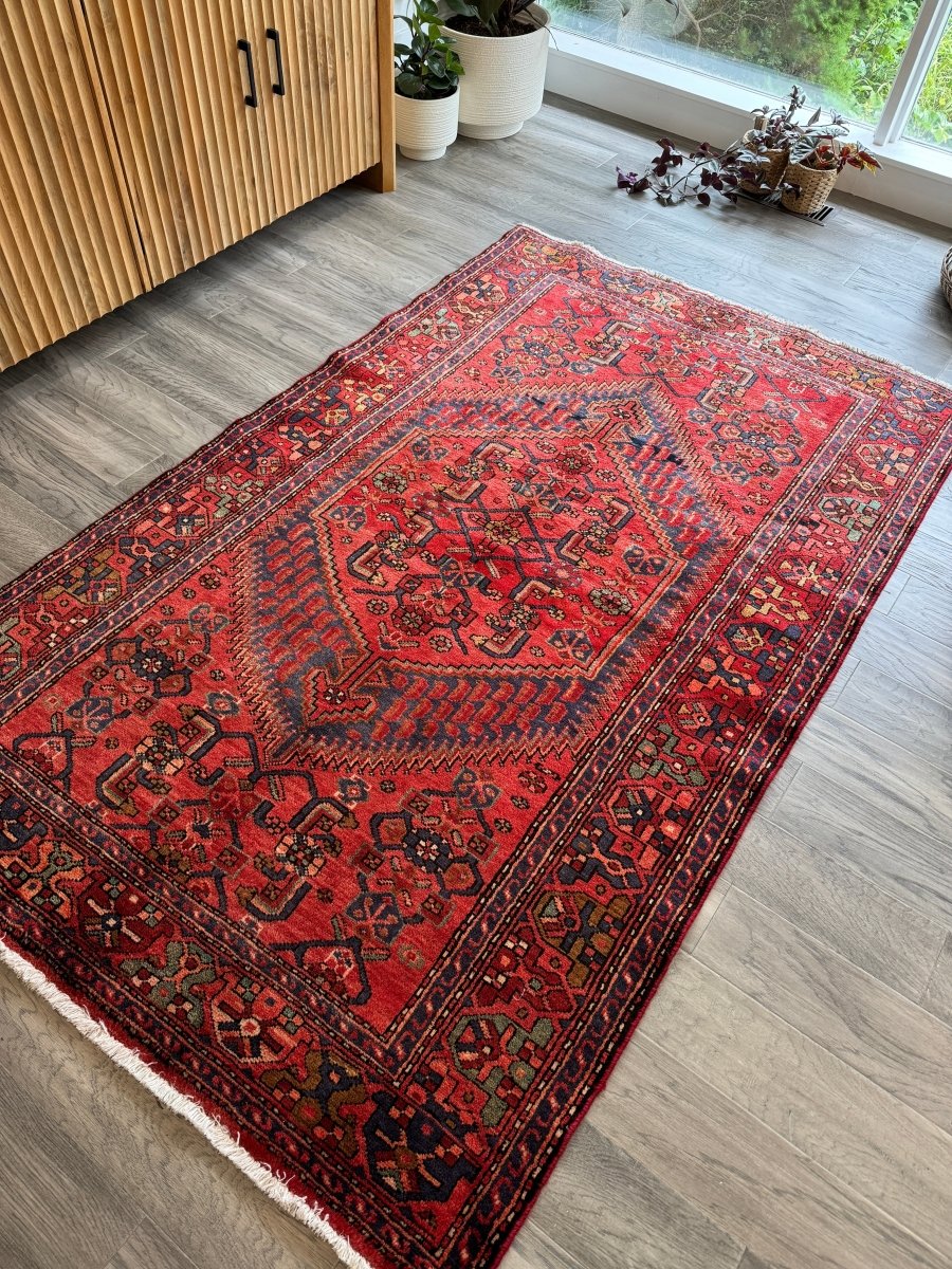 On Hold for Rose | Persian Zanjan Rug | 4' 1" x 6' 8"