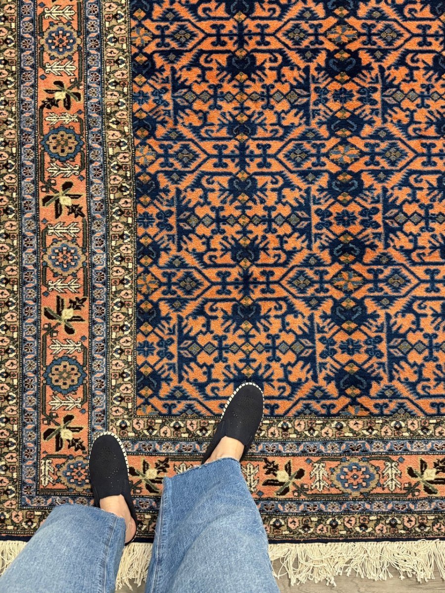 Persian Ardabil Rug — Apricot & Indigo Mahi Field | 5'9" × 9'