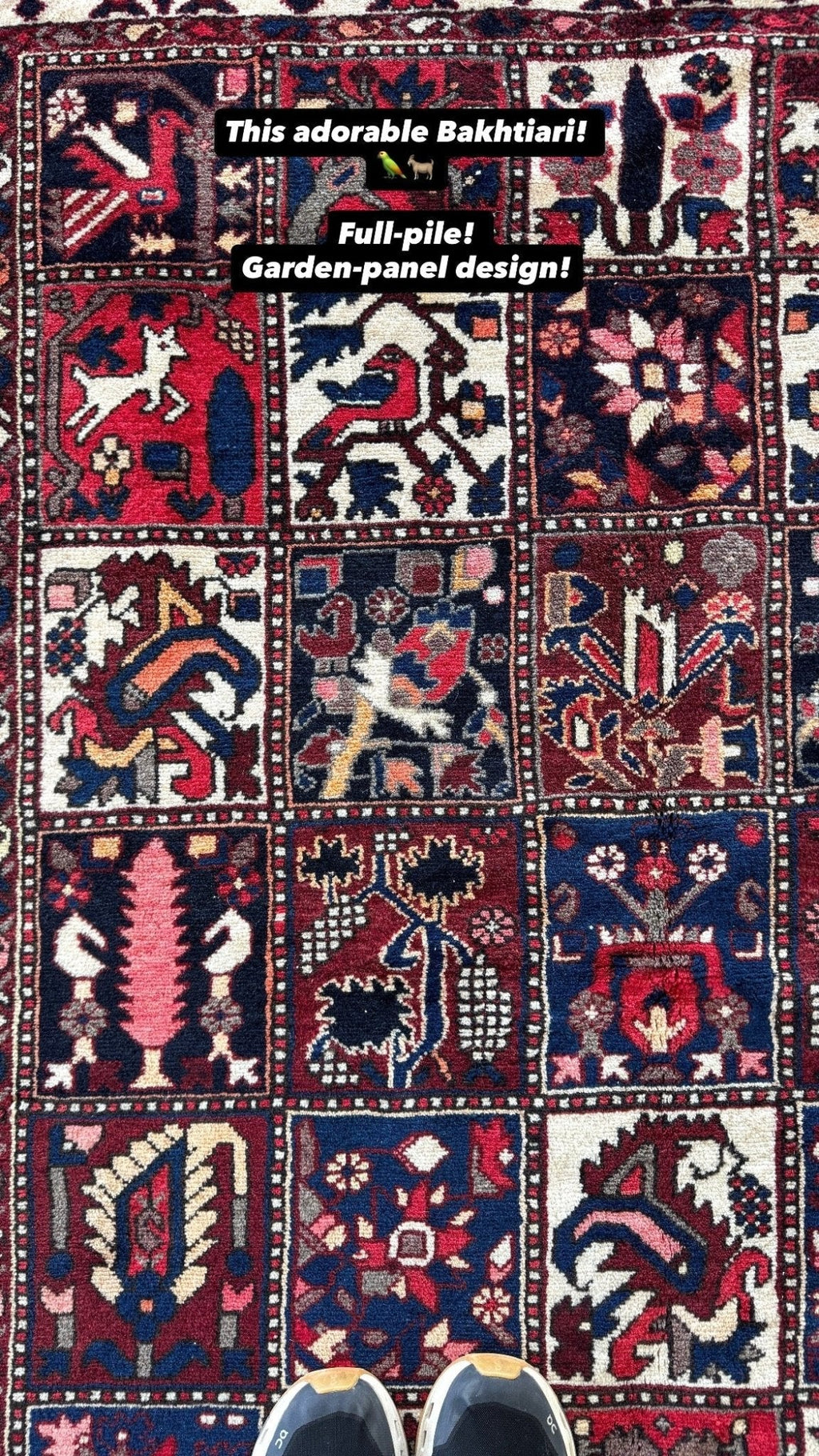 Persischer Bakhtiari-Teppich — Paneele mit Vögeln und Zypressengarten | 5'1" × 9'6"