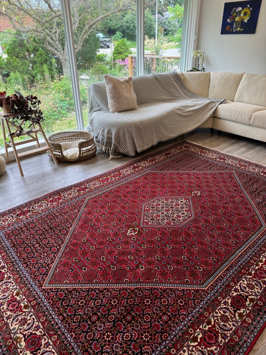 Persian Bidjar Rug — Ruby & Ivory Herati Medallion | 6'5" × 9'9"