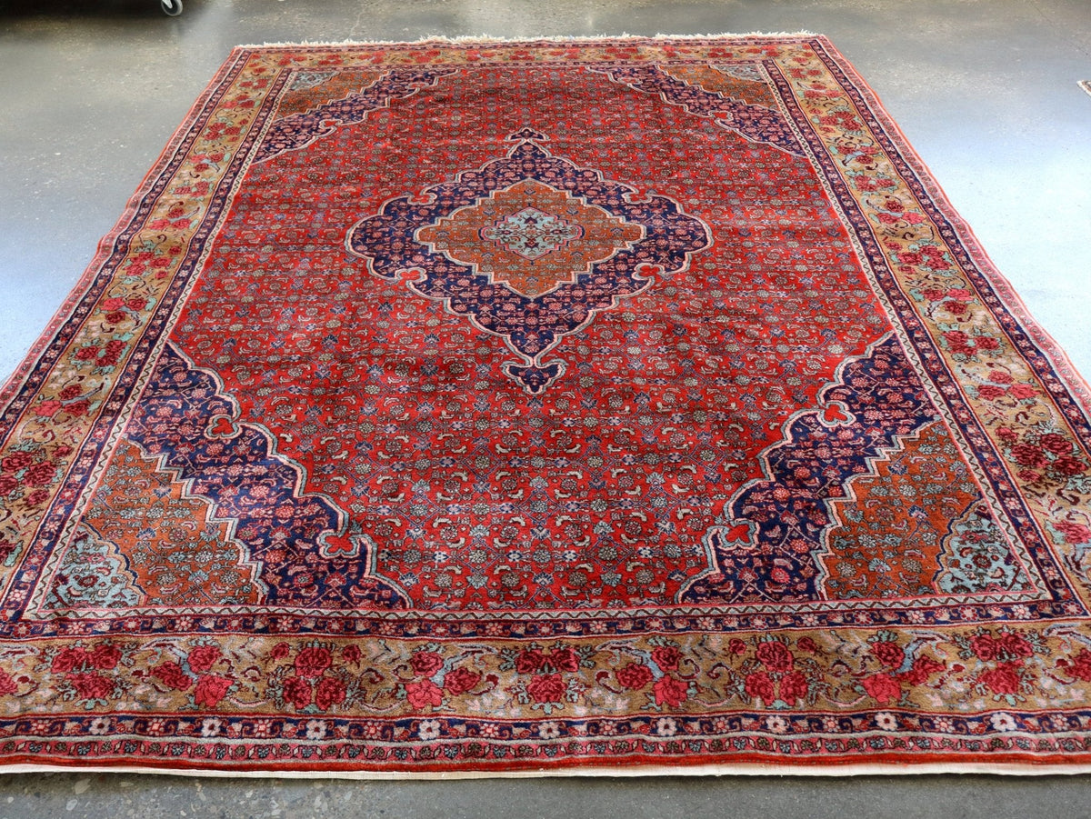 Persian Bidjar Rug — Mahi Field & Golden Gol Farang Border | 8'7" × 11'10"