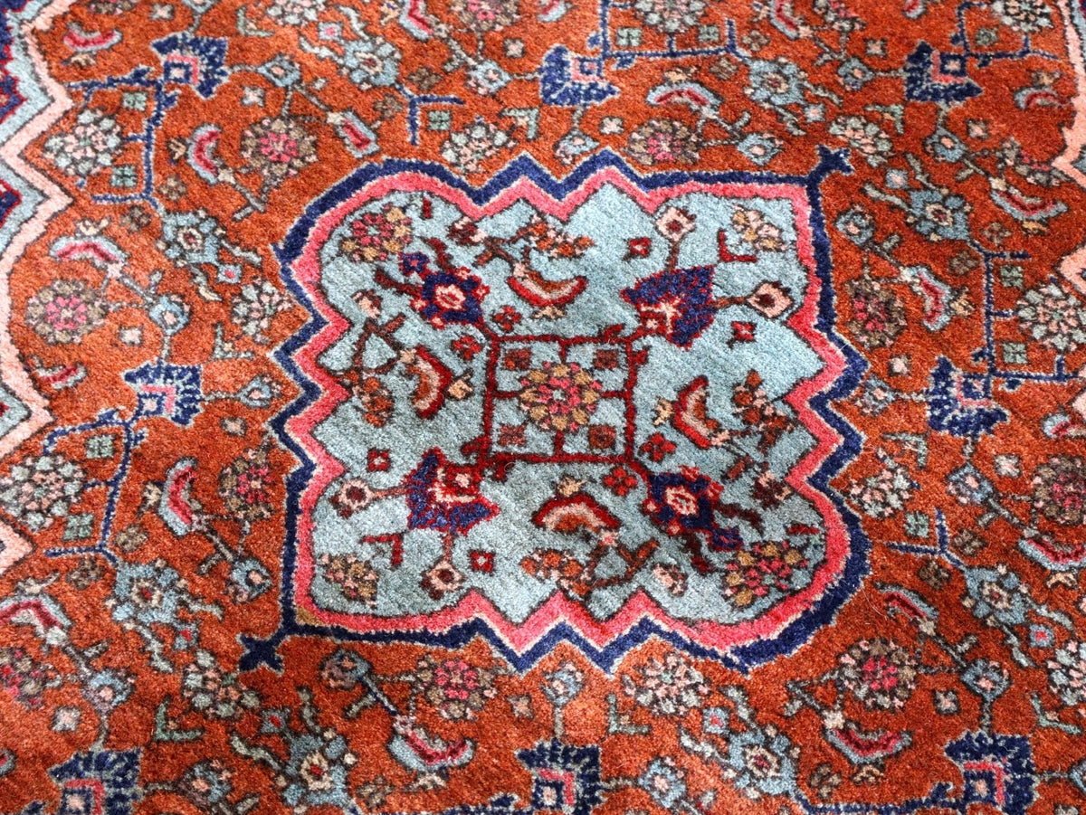 Persian Bidjar Rug — Mahi Field & Golden Gol Farang Border | 8'7" × 11'10"