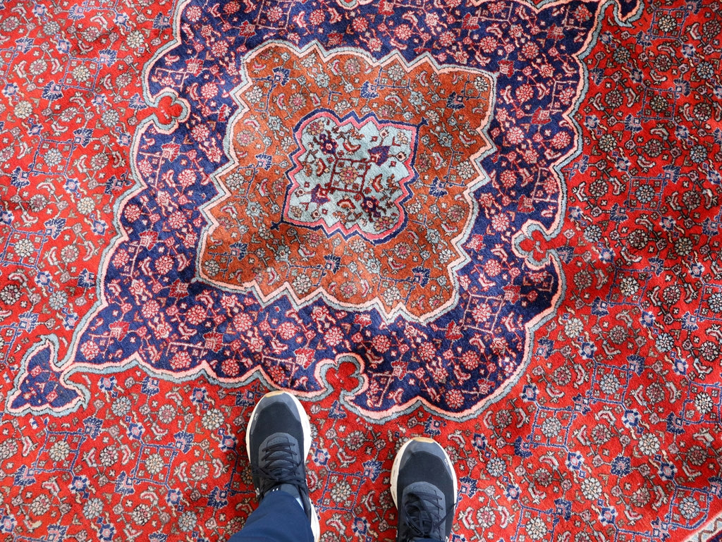 Persian Bidjar Rug — Mahi Field & Golden Gol Farang Border | 8'7" × 11'10"
