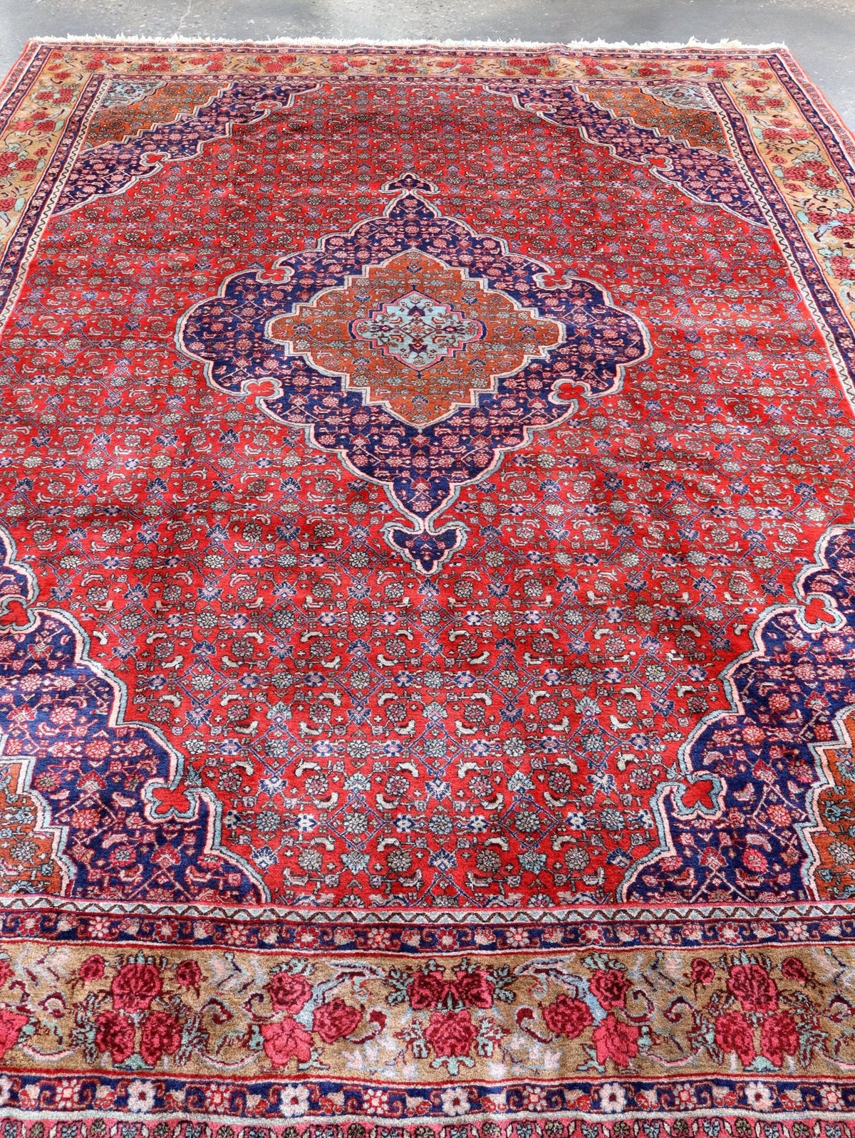 Persian Bidjar Rug — Mahi Field & Golden Gol Farang Border | 8'7" × 11'10"