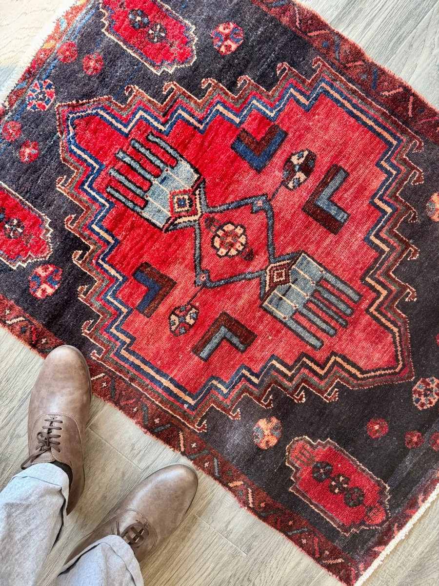Persian Hamedan Rug | 2' 7" x 3’ 6”