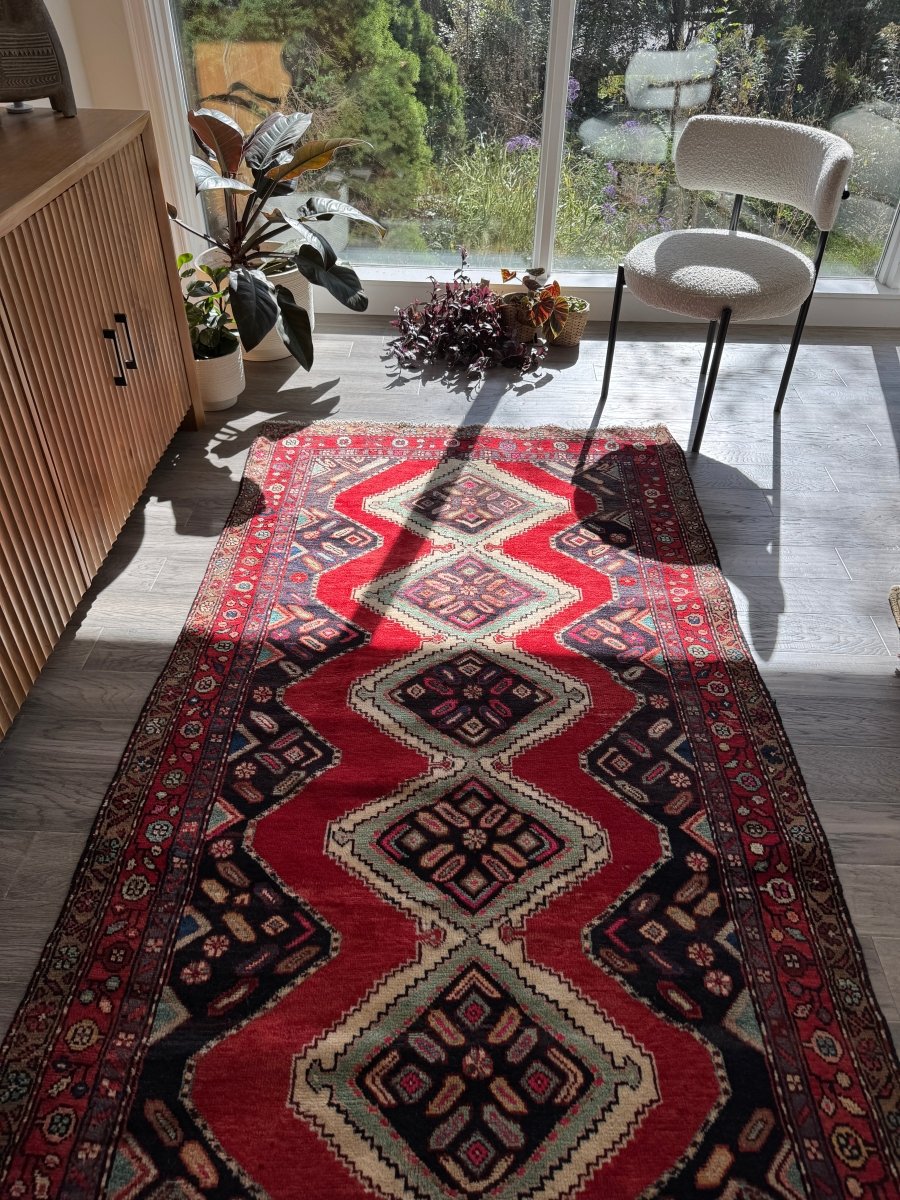 Persian Hamedan Rug | 3' 11" x 7' 1"