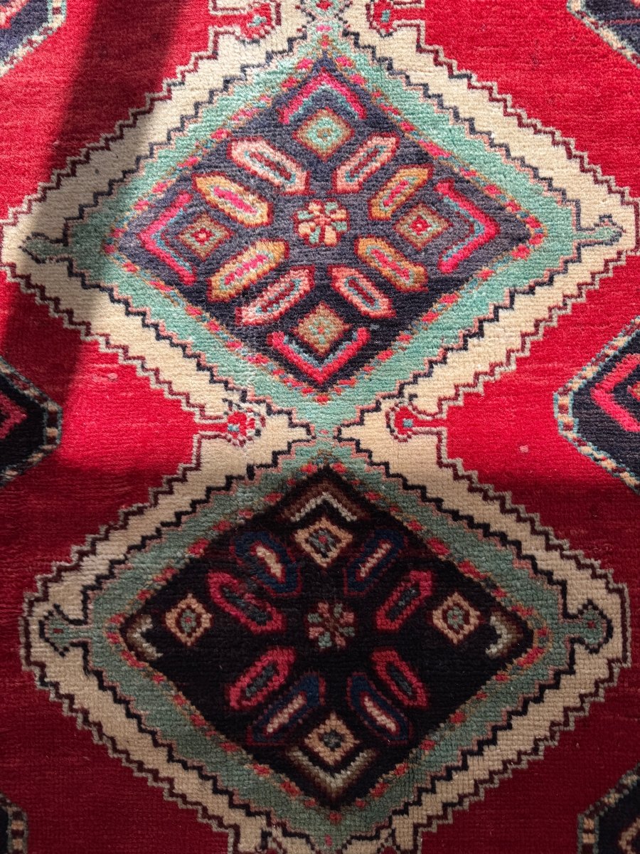 Persian Hamedan Rug | 3' 11" x 7' 1"